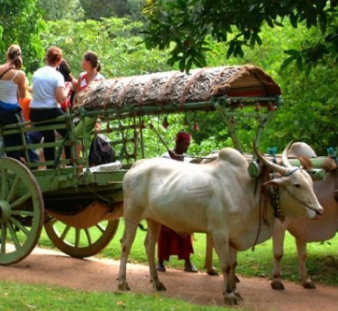 Hiriwadunna Village tour