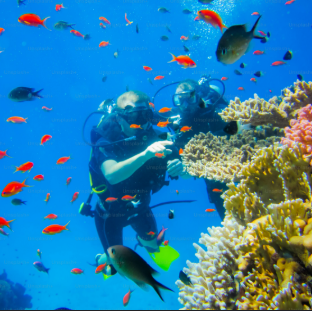 Scuba Diving