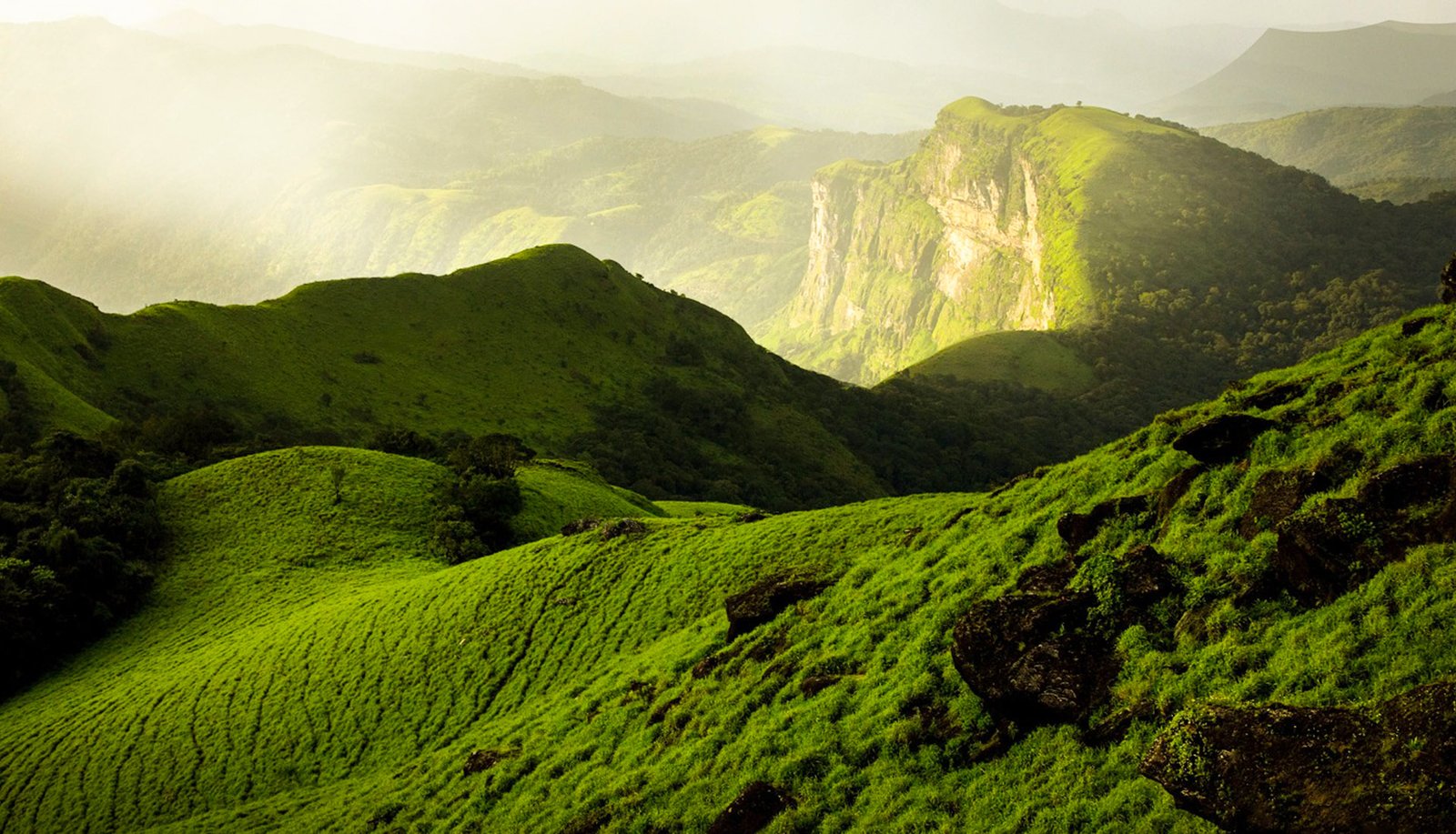 THE HILL BEAUTY